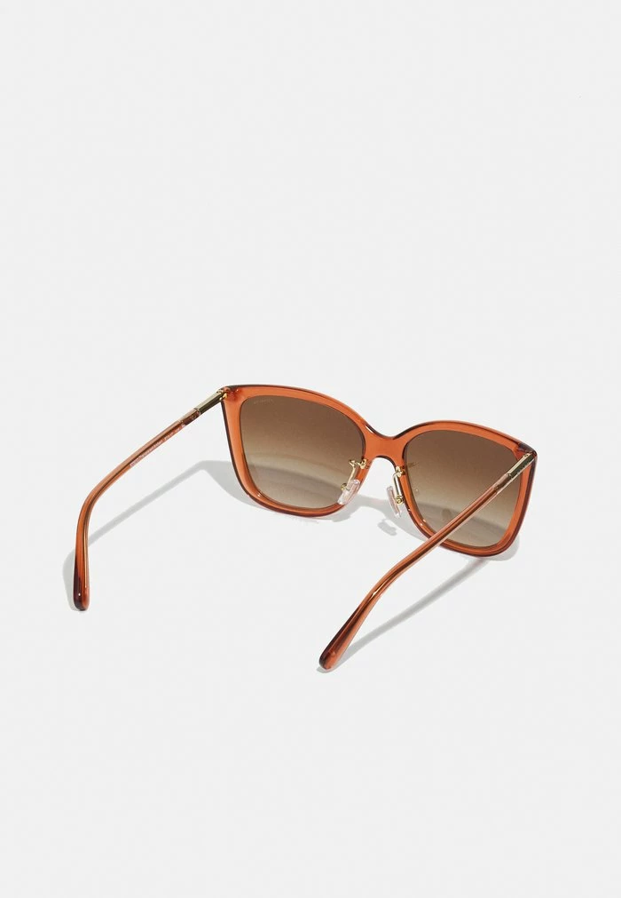 Coach Sunglasses - Transparent Amber 2 Coach Sunglasses - Transparent Amber - Image 2