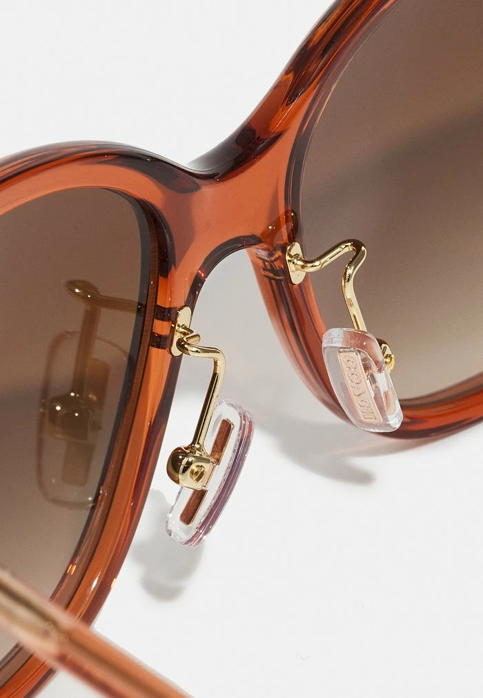 Coach Sunglasses - Transparent Amber 3 Coach Sunglasses - Transparent Amber - Image 3