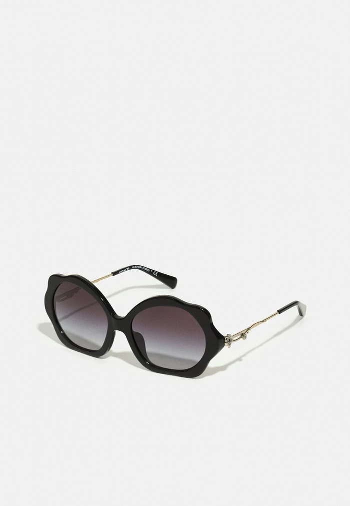 Coach Sunglasses - Black 1 Coach Sunglasses - Black