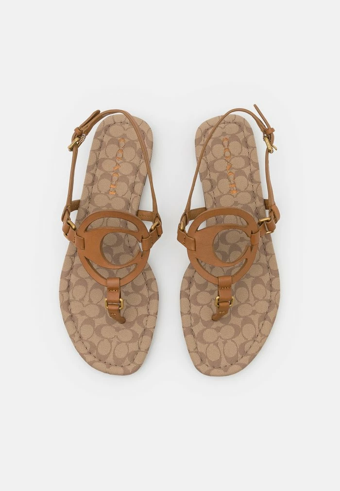 Coach JERI - T-bar Sandals - Light Saddle/stone 5 Coach JERI - T-bar Sandals - Light Saddle/stone - Image 5