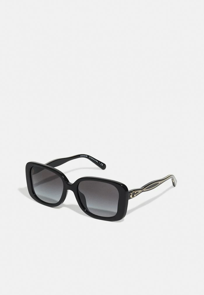 Coach Sunglasses - Black 1 Coach Sunglasses - Black