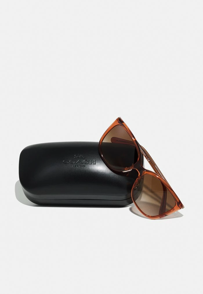 Coach Sunglasses - Transparent Amber 4 Coach Sunglasses - Transparent Amber - Image 4